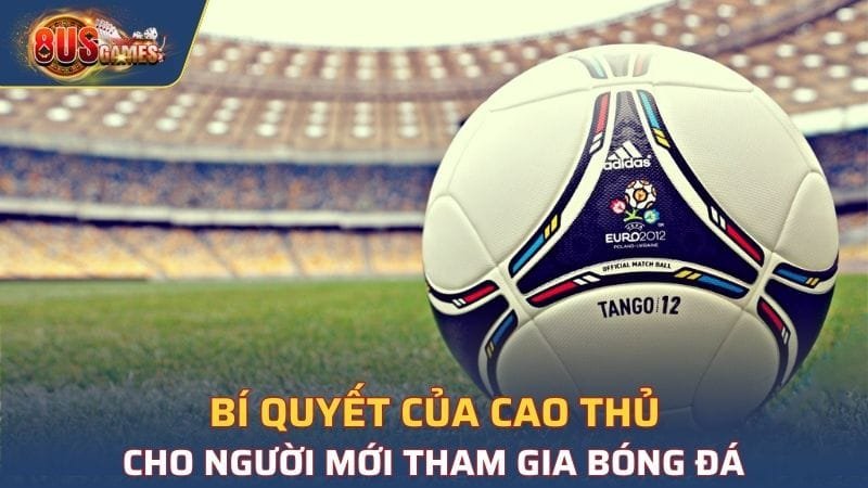 Bật mí một số kinh nghiệm của cao thủ khi cá cược bóng đá