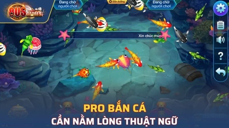 Pro bắn cá phải biết đến thuật ngữ quan trọng