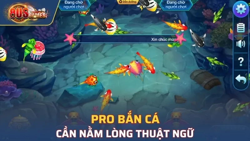 Pro bắn cá phải biết đến thuật ngữ quan trọng